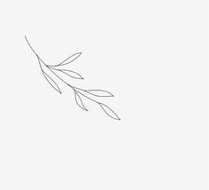 a single line drawing of an olive branch