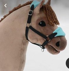 the horse is wearing a blue blinder and has brown manes on it's head