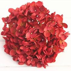 a bunch of red flowers sitting on top of a white table