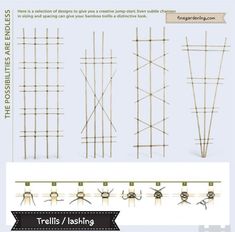 there are many different types of bamboo poles in this photo and the text below reads, trelliss / hashing