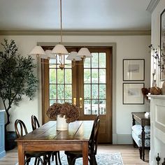 a dining room table with chairs and a potted plant on top of the table