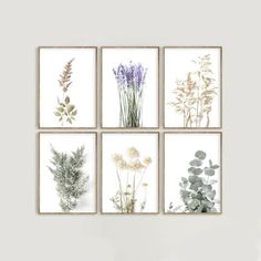 four framed art prints with different plants on the wall in front of a white background