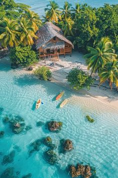 an aerial view of a tropical island with palm trees and kayaks in the water