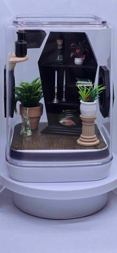 a glass case with plants inside of it on top of a wooden table next to a potted plant