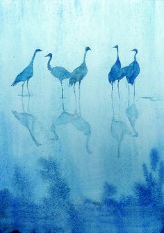 three birds are standing in the water