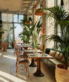 a restaurant with large plants and wooden tables