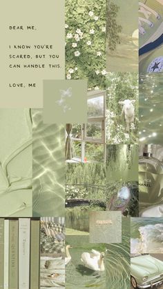 a collage of images with words and pictures on them that include books, flowers, trees, water and a clock