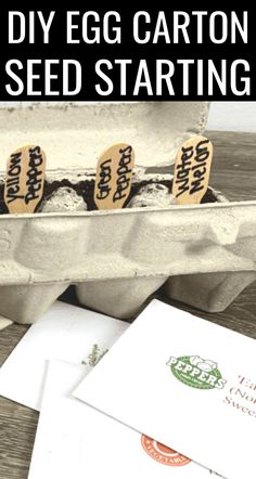 an egg carton filled with seed startings next to some cards and envelopes