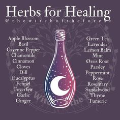 Herbs For Healing, Herbs For Protection, Magic Spell Book