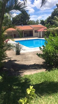 an empty swimming pool surrounded by lush green trees and shrubs, with a house in the background