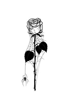 a black and white drawing of a rose with spider web on it's side