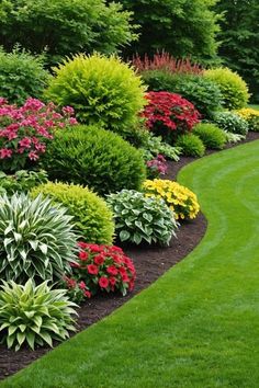 a garden with lots of different types of flowers