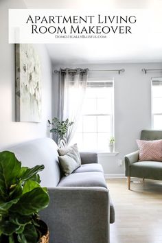 a living room with two couches and a plant in the corner on the floor