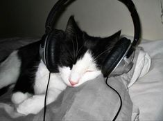 a black and white cat laying on top of a bed wearing headphones with it's eyes closed