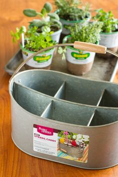 several potted plants sitting on top of a wooden table next to a metal tray