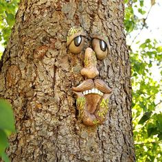 a tree with a face carved into it