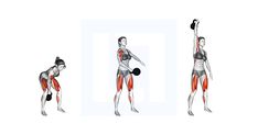 Forearm Muscles, Lower Body Muscles, Core Stability, Lower Body