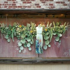 an arrangement of succulents and other plants is displayed on the side of a building