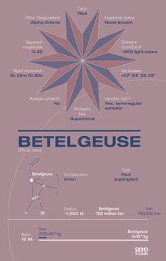 an info poster showing the different types of aircrafts and their names in english, french,