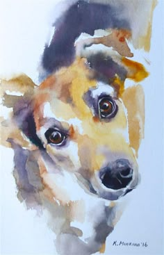 a watercolor painting of a dog's face with brown and white fur on it