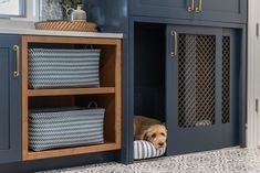 a dog is laying in his bed under the cabinet