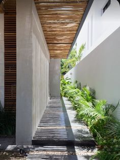 an outdoor walkway between two buildings with plants on both sides and a wooden roof above it