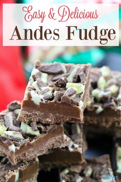 chocolate fudge bars stacked on top of each other with the words easy and delicious