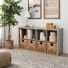 a living room with a plant and some pictures on the wall above it, along with an area rug