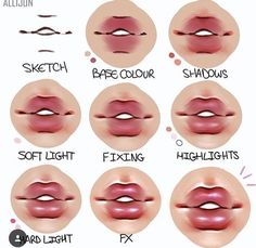 the different types of lips and how they are used to make them look like they're