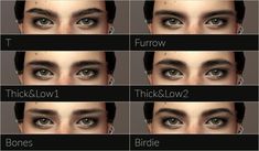 the different types of eyes are shown in this screenshoter's view,