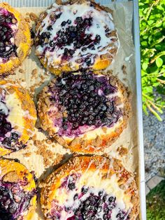 blueberry cheesecake muffins are arranged on a baking sheet in the garden