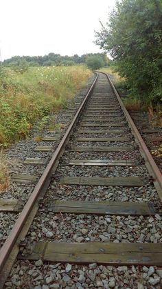 an old train track running through a field with tall grass and trees in the background