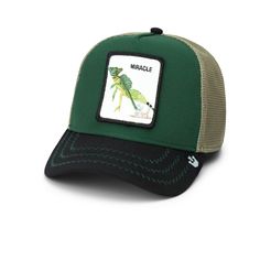 a green and black trucker hat with an image of a lizard on the front