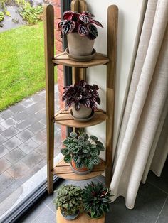 three potted plants are sitting on a corner shelf