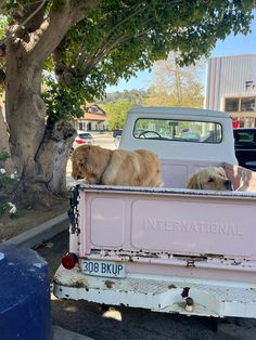 two dogs are sitting in the back of a pink pick up truck parked on the side of the road