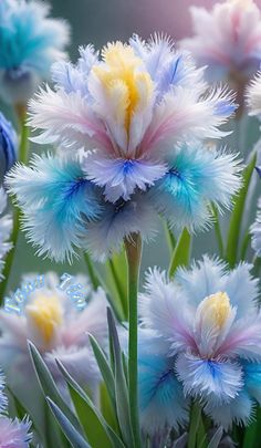 blue and white flowers with green stems in the foreground