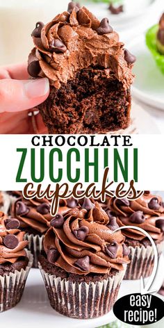 chocolate zucchini cupcakes with chocolate frosting and chocolate chips on top