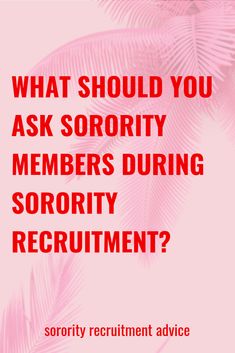 a pink palm tree with the words, what should you ask sorority members during sorry