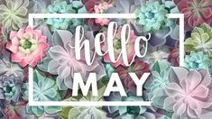 the words hello may surrounded by colorful succulents in a white square frame