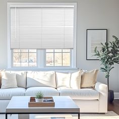 a living room filled with furniture and a window covered in white blinds on the windowsill