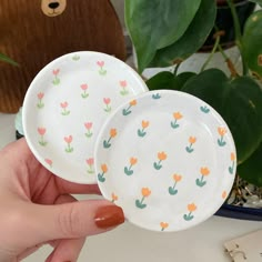 two plates with flowers painted on them are being held by a person's hand