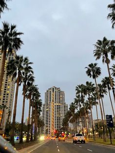 palm trees line the street as cars drive by in front of high rise apartment buildings