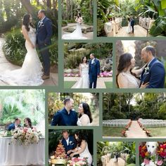 a collage of photos showing the wedding party and guests at their outdoor ceremony, including bride and groom