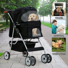 an image of a dog in a stroller on the sidewalk with pictures of people and their dogs