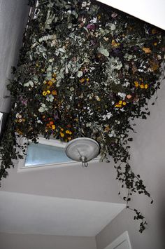 the ceiling is covered with flowers and plants growing on it's side, as well as a light fixture