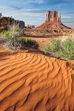 the desert is covered with sand and plants in front of a rock formation that looks like a mountain