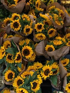 many sunflowers are in brown paper bags