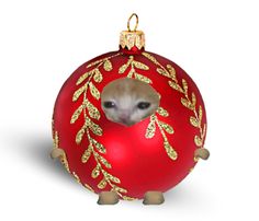 an ornament shaped like a christmas ball with a dog in it