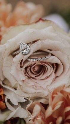 a close up of a flower with a diamond ring on it