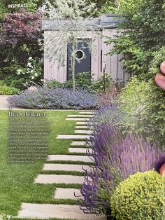 a garden with stepping stones and lavenders in the foreground, next to a small wooden outhouse